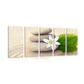 5-PIECE CANVAS PRINT WHITE FLOWER AND STONES IN SAND - PICTURES FENG SHUI - PICTURES