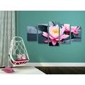 5-PIECE CANVAS PRINT LOTUS FLOWER IN A LAKE - PICTURES FENG SHUI - PICTURES