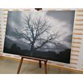 TABLEAU SUR TOILE – ARBRE EN NOIR ET BLANC DANS LE PRÉ - TABLEAUX EN NOIR ET BLANC - TABLEAUX