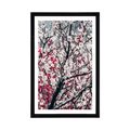 POSTER WITH MOUNT PEACH FLOWERS - FLOWERS - POSTERS