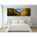 CANVAS PRINT MOUNTAIN LANDSCAPE - PICTURES OF NATURE AND LANDSCAPE - PICTURES