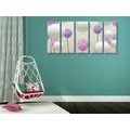 5-PIECE CANVAS PRINT INTERESTING FLOWERS WITH ABSTRACT ELEMENTS AND PATTERNS - ABSTRACT PICTURES - PICTURES