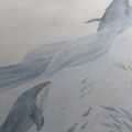 WANDBILD WALE IM RUHIGEN MEER - WANDBILDER WALE - BILDER