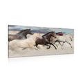 CANVAS PRINT HERD OF HORSES - PICTURES - 🔥 TOTAL SALE 🔥