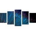 5-PIECE CANVAS PRINT FIBER OPTICS - STILL LIFE PICTURES - PICTURES