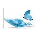 CANVAS PRINT FEATHER WITH A BUTTERFLY IN BLUE DESIGN - STILL LIFE PICTURES - PICTURES