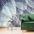 WALL MURAL MORNING DEW ON A DANDELION - WALLPAPERS FLOWERS - WALLPAPERS