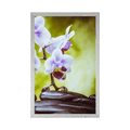 POSTER ZEN-STEINE UND ORCHIDEE - FENG SHUI - POSTER