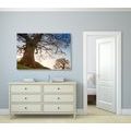 CANVAS PRINT SYMBIOSIS OF TREES - PICTURES OF NATURE AND LANDSCAPE - PICTURES