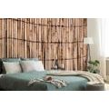 WALL MURAL EXOTIC BAMBOO - WALLPAPERS WITH IMITATION OF WOOD - WALLPAPERS