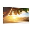 TABLEAU SUR TOILE – LEVER DE SOLEIL SUR UNE PLAGE DES CARAÏBES - TABLEAUX DE LA NATURE ET DES PAYSAGES - TABLEAUX