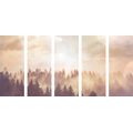 5-PIECE CANVAS PRINT MISTY FOREST - PICTURES OF NATURE AND LANDSCAPE - PICTURES