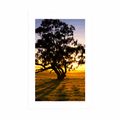 AFFICHE AVEC MONTURE ARBRE SOLITAIRE AU COUCHER DU SOLEIL - NATURE - AFFICHES