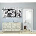 5-PIECE CANVAS PRINT SPRING TULIPS IN BLACK AND WHITE - BLACK AND WHITE PICTURES - PICTURES
