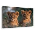 WANDBILD LÖWENJUNGE IN DER WILDNIS - BILDER VON LÖWEN UND TIGERN - BILDER