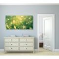 CANVAS PRINT MORNING DEW - PICTURES OF NATURE AND LANDSCAPE - PICTURES