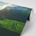 SELF ADHESIVE WALL MURAL LIFE IN THE MOUNTAINS - SELF-ADHESIVE WALLPAPERS - WALLPAPERS