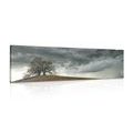 TABLEAU SUR TOILE – ARBRES SOLITAIRES - TABLEAUX DE LA NATURE ET DES PAYSAGES - TABLEAUX