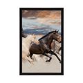 POSTER HERD OF HORSES - ANIMALS - POSTERS