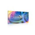CANVAS PRINT DROP OF DEW ON A COLORED BACKGROUND - PICTURES FLOWERS - PICTURES