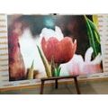 WANDBILD WIESE MIT TULPEN IM RETRO-STIL - BILDER BLUMEN - BILDER