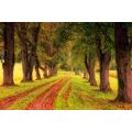 WALL MURAL TRAIL THROUGH THE AUTUMN FOREST - WALLPAPERS NATURE - WALLPAPERS