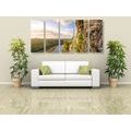 5-PIECE CANVAS PRINT VIEW OF THE RIVER ELBE - PICTURES OF NATURE AND LANDSCAPE - PICTURES