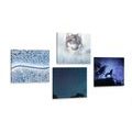 CANVAS PRINT SET LONE WOLF - SET OF PICTURES - PICTURES