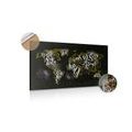 DECORATIVE PINBOARD TRENDY WORLD MAP - PICTURES ON CORK - PICTURES