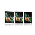 POSTER ORGANIC FRUITS AND VEGETABLES - WITH A KITCHEN MOTIF - POSTERS