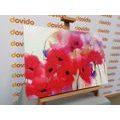 CANVAS PRINT BEAUTIFUL DRAWN POPPIES - PICTURES FLOWERS - PICTURES