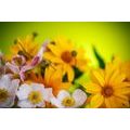 SELF ADHESIVE WALL MURAL SUMMER BOUQUET - SELF-ADHESIVE WALLPAPERS - WALLPAPERS