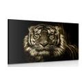 CANVAS PRINT TIGER IN SEPIA DESIGN - BLACK AND WHITE PICTURES - PICTURES