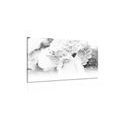 CANVAS PRINT ANGEL - PICTURES OF ANGELS - PICTURES