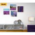 CANVAS PRINT SET LAVENDER FIELDS WITH BEAUTIFUL ABSTRACTION - SET OF PICTURES - PICTURES