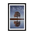 POSTER MIT PASSEPARTOUT STERNENHIMMEL ÜBER EINEM ALLEINSTEHENDEN BAUM - NATUR - POSTER