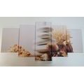 5-PIECE CANVAS PRINT ZEN STONES WITH SEASHELLS - PICTURES FENG SHUI - PICTURES