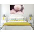 CANVAS PRINT DANDELION ON A DARK BACKGROUND - PICTURES FLOWERS - PICTURES