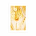 POSTER WITH MOUNT DANDELION IN YELLOW DESIGN - FLOWERS - POSTERS