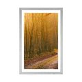 POSTER MIT PASSEPARTOUT WEG IN DEN WALD - NATUR - POSTER