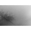 IMPRESSION SUR TOILE ARBRES DANS UN BROUILLARD EN NOIR ET BLANC - IMPRESSIONS SUR TOILE NOIR ET BLANC - IMPRESSION SUR TOILE