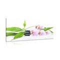 CANVAS PRINT STILL LIFE WITH ZEN STONES - PICTURES FENG SHUI - PICTURES