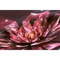 CANVAS PRINT FLORAL ILLUSION - ABSTRACT PICTURES{% if product.category.pathNames[0] != product.category.name %} - PICTURES{% endif %}