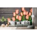 SELF ADHESIVE WALL MURAL ORANGE TULIPS ON A WOODEN BASE - SELF-ADHESIVE WALLPAPERS - WALLPAPERS