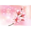 TAPETE ZARTE ROSA MAGNOLIE - MAGNOLIEN-TAPETEN - TAPETEN