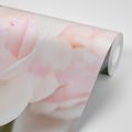 SELF ADHESIVE WALL MURAL ROSES - SELF-ADHESIVE WALLPAPERS - WALLPAPERS