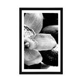 POSTER MIT PASSEPARTOUT EXOTISCHE ORCHIDEE IN SCHWARZ-WEISS - SCHWARZ-WEISS - POSTER