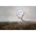 WALLPAPER MOON IN THE ARMS OF NATURE - WALLPAPERS FANTASY - WALLPAPERS