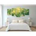 5-PIECE CANVAS PRINT MORNING DEW - PICTURES OF NATURE AND LANDSCAPE - PICTURES