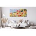 5-PIECE CANVAS PRINT PAINTED POPPIES IN A MEADOW - PICTURES FLOWERS - PICTURES